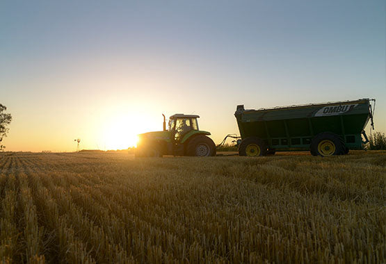 Agriculture in Argentina: A Land of Opportunities