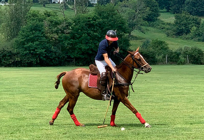 Polo in Argentina: Where Tradition Meets Excellence